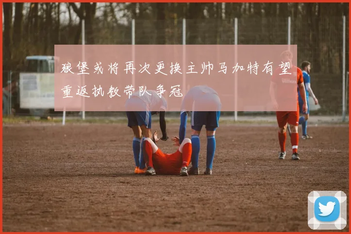 狼堡或将再次更换主帅马加特有望重返执教带队争冠